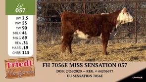 Lot #057 - FH 7056E MISS SENSATION 057