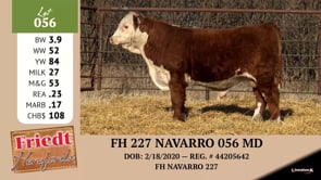Lot #056 - FH 227 NAVARRO 056 MD