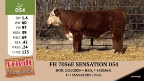 Lot #054 - FH 7056E SENSATION 054