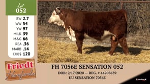 Lot #052 - FH 7056E SENSATION 052
