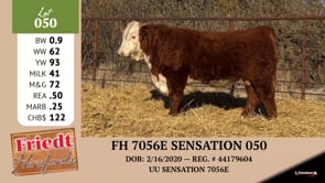 Lot #050 - FH 7056E SENSATION 050