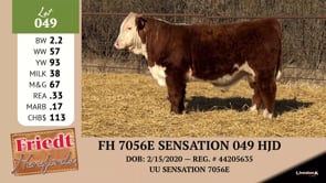 Lot #049 - FH 7056E SENSATION 049 HJD