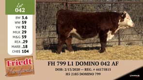 Lot #042 - FH 799 L1 DOMINO 042 AF