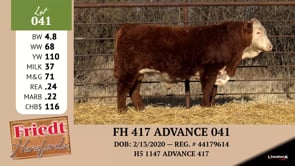 Lot #041 - FH 417 ADVANCE 041