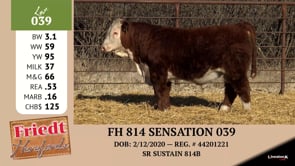 Lot #039 - FH 814 SENSATION 039