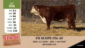 Lot #036 - FH SCOPE 036 AF