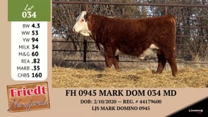 Lot #034 - FH 0945 MARK DOM 034 MD