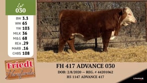 Lot #030 - FH 417 ADVANCE 030
