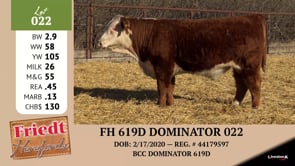 Lot #022 - FH 619D DOMINATOR 022