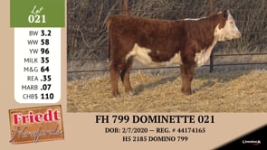 Lot #021 - FH 799 DOMINETTE 021