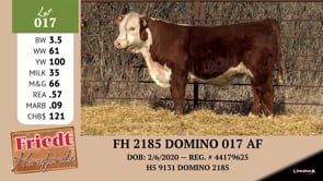 Lot #017 - FH 2185 DOMINO 017 AF