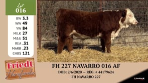 Lot #016 - FH 227 016 AF