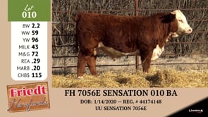 Lot #010 - FH 7056E SENSATION 010 BA