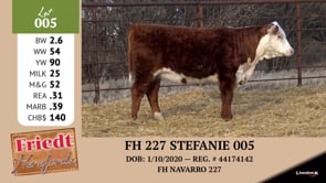 Lot #005 - FH 227 STEFANIE 005