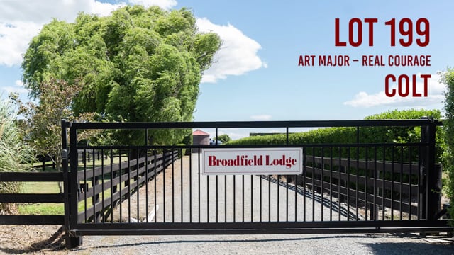 Lot 199