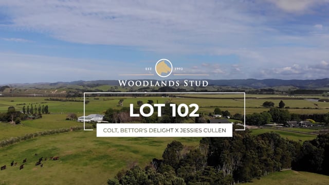 Lot 102