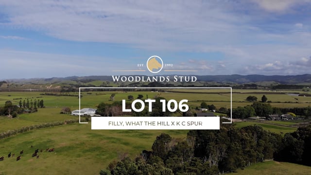 Lot 106