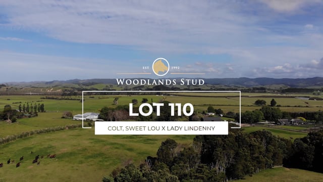Lot 110