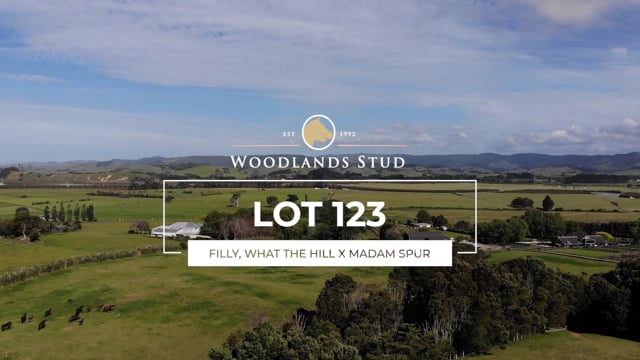 Lot 123