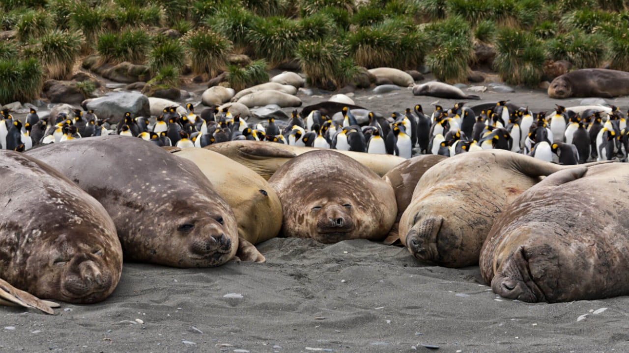 Antarctica