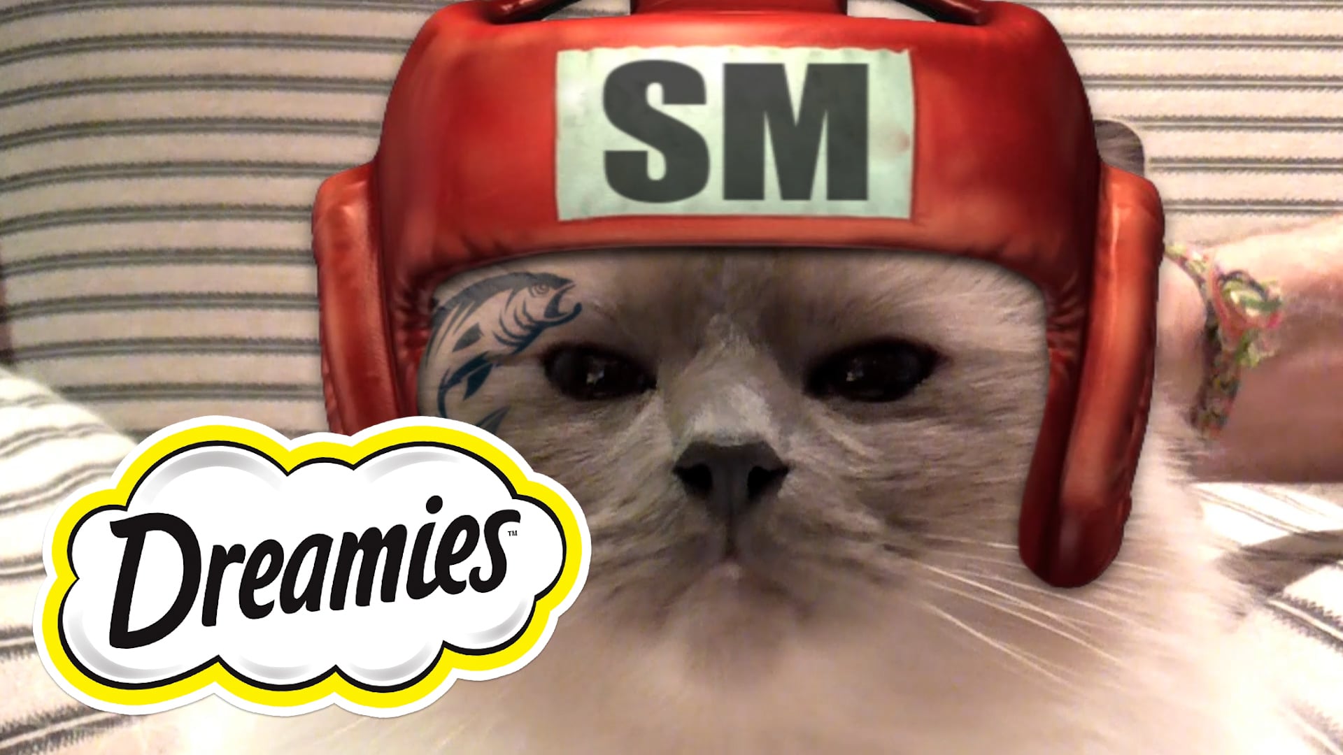 Snacky Mouse- TV Ad 60 Seconds