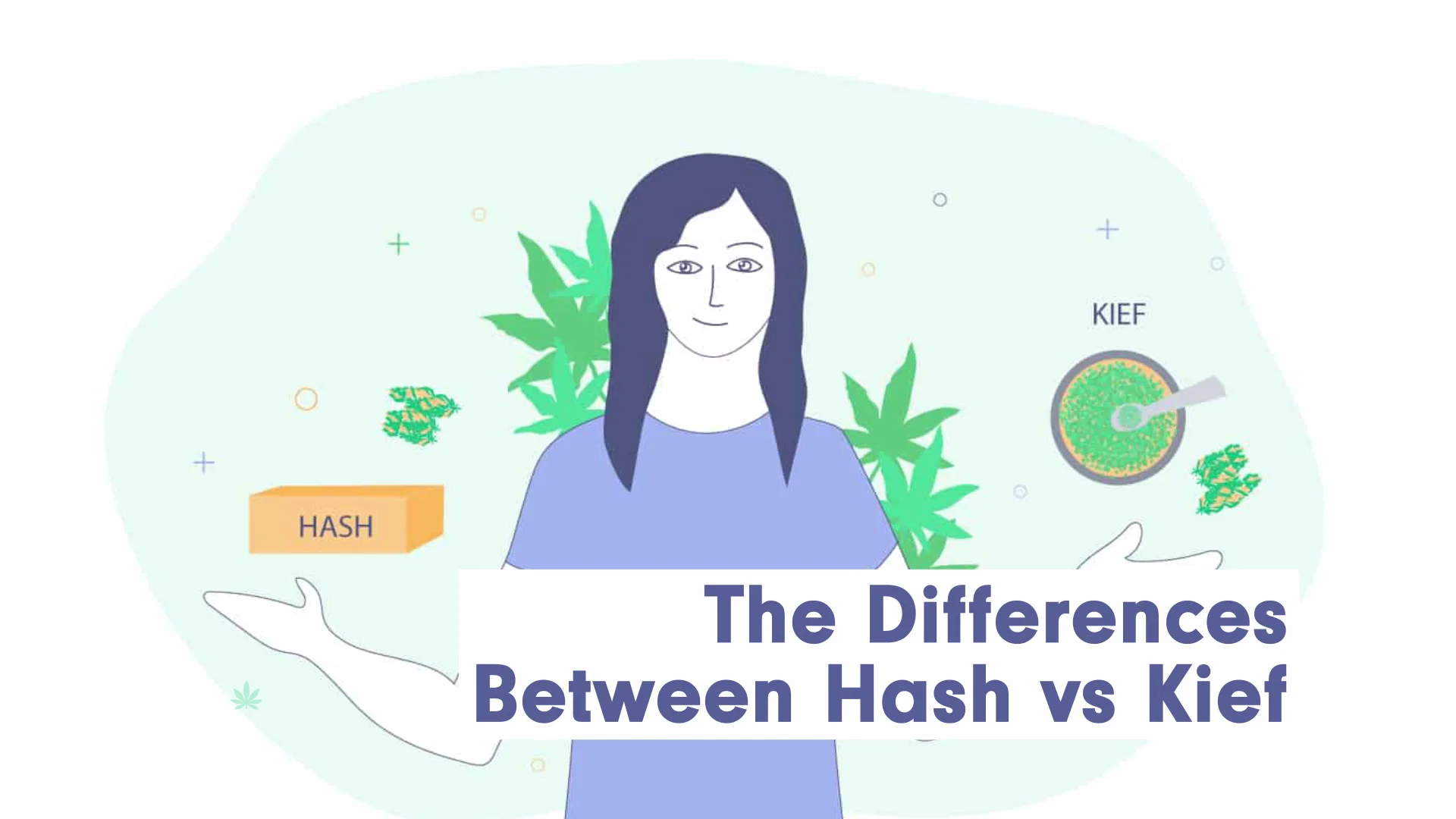 Expert Guide: Differences Between Kief vs Hash