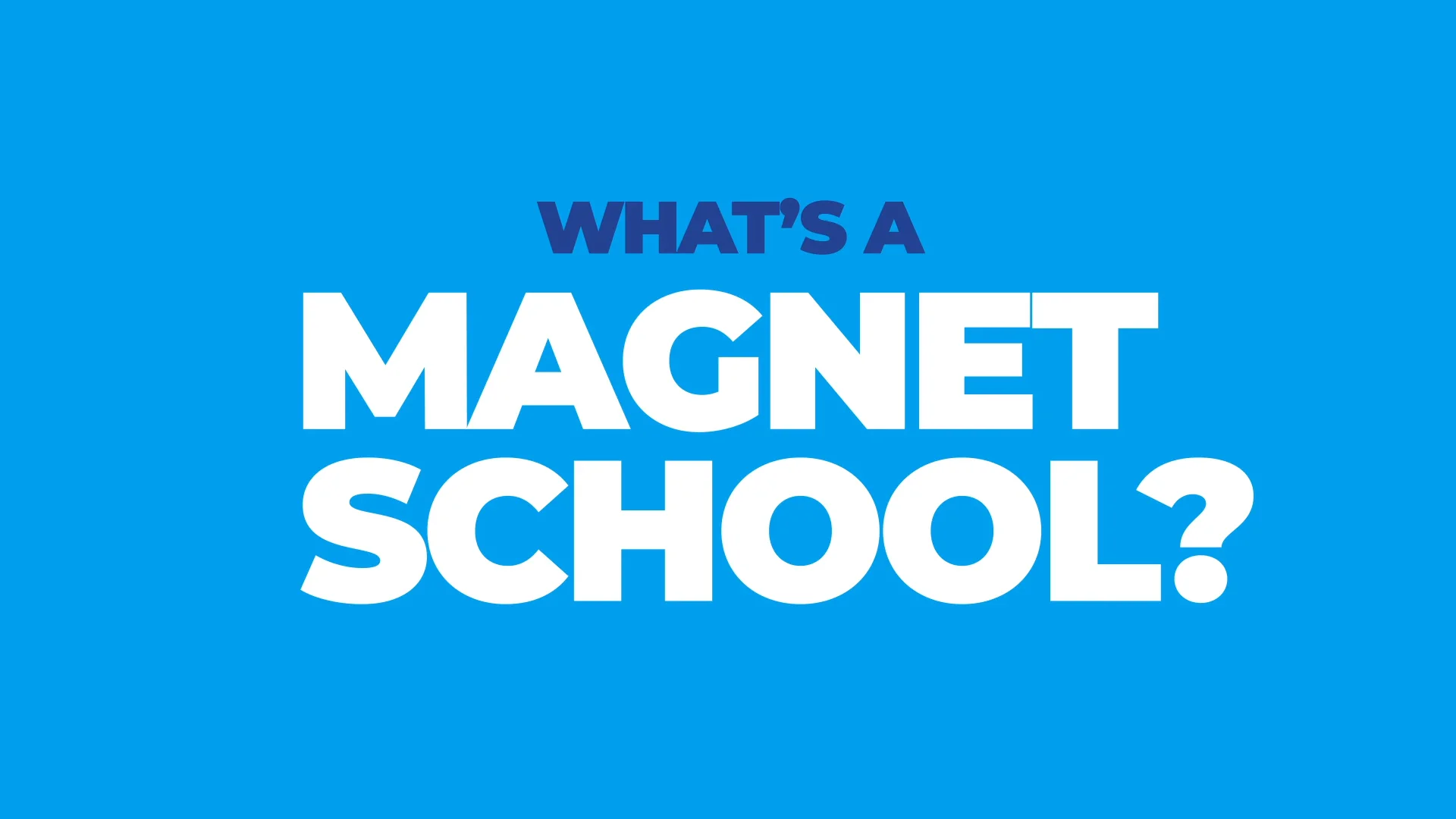 Whats a magnet deals school