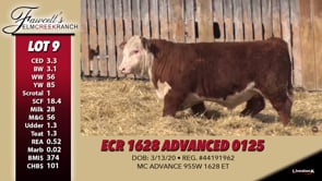 Lot #9 - ECR 1628 ADVANCED 0125