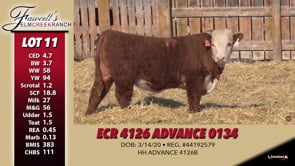 Lot #11 - ECR 4126 ADVANCE 0134
