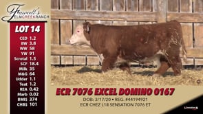 Lot #14 - ECR 7076 EXCEL DOMINO 0167