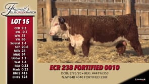 Lot #15 - ECR 238 FORTIFIED 0010