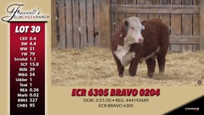 Lot #30 - ECR 6305 BRAVO 0204