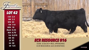 Lot #42 - ECR RESOURCE 016