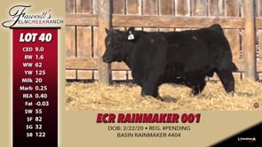 Lot #40 - ECR RAINMAKER 001