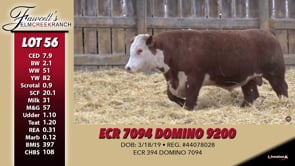 Lot #56 - ECR 7094 DOMINO 9200