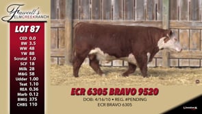 Lot #87 - ECR 6305 BRAVO 9520