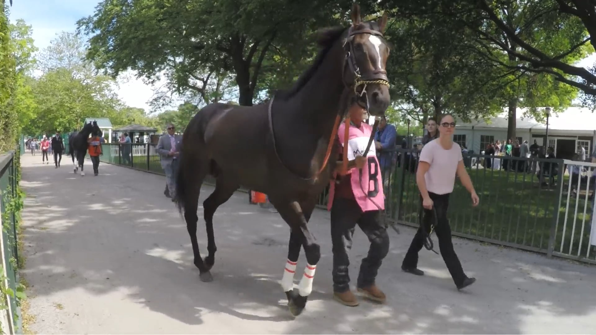 Promo: Belmont Stakes 151