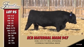 Lot #95 - ECR MATERNAL MADE 947