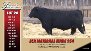 Lot #94 - ECR MATERNAL MADE 954