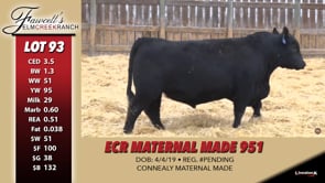 Lot #93 - ECR MATERNAL MADE 951