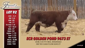 Lot #92 - ECR GOLDEN POND 9673 ET