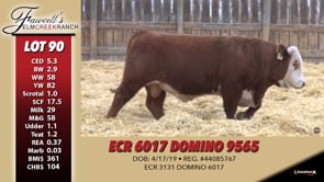 Lot #90 - ECR 6017 DOMINO 9565