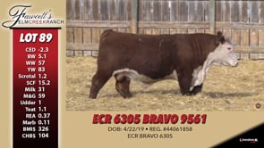 Lot #89 - ECR 6305 BRAVO 9561