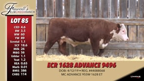 Lot #85 - ECR 1628 ADVANCE 9496