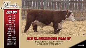 Lot #81 - ECR SL RUSHMORE 9466 ET