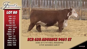 Lot #80 - ECR 628 ADVANCE 9461 ET