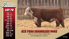 Lot #78 - ECR 7586 SHAMELESS 9445