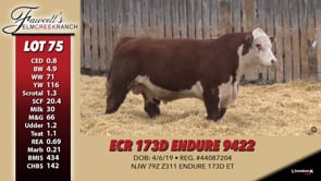 Lot #75 - ECR 173D ENDURE 9422