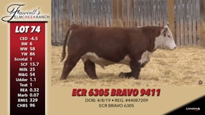 Lot #74 - ECR 6305 BRAVO 9411