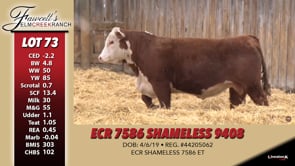 Lot #73 - ECR 7586 SHAMELESS 9408